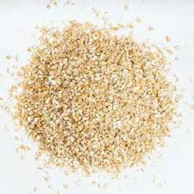 گندم بلغور فله